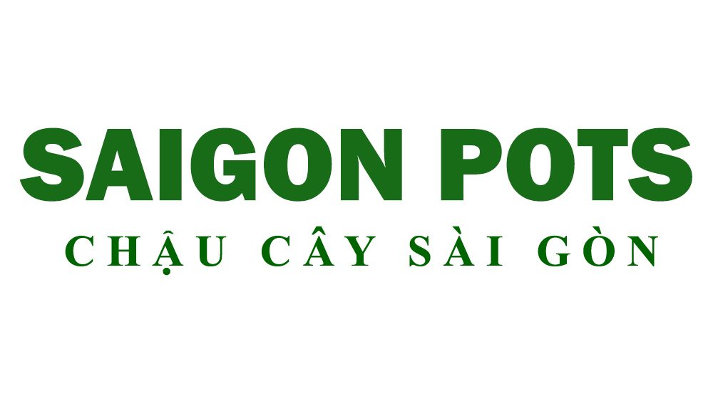 chau-composite-trong-cay