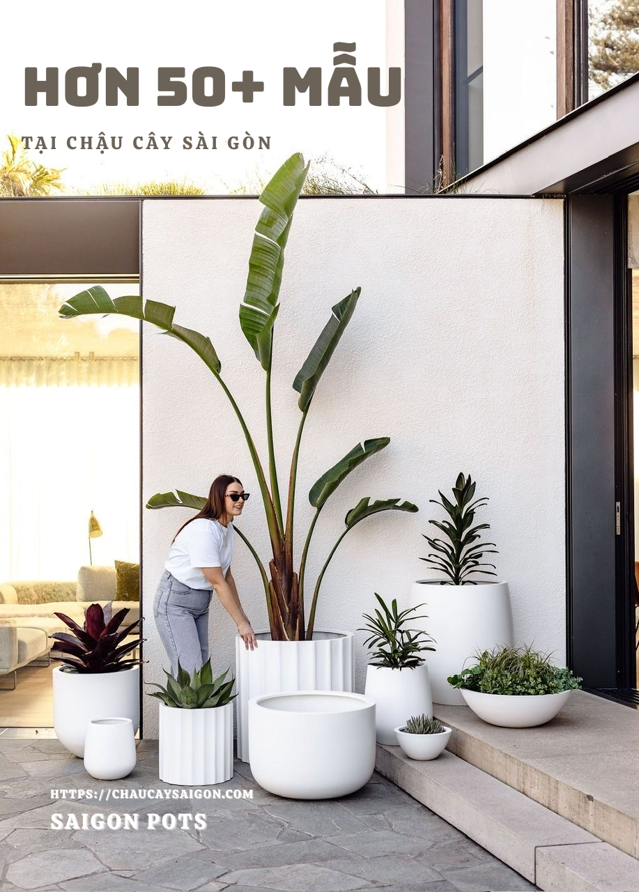 chau-composite-trong-cay