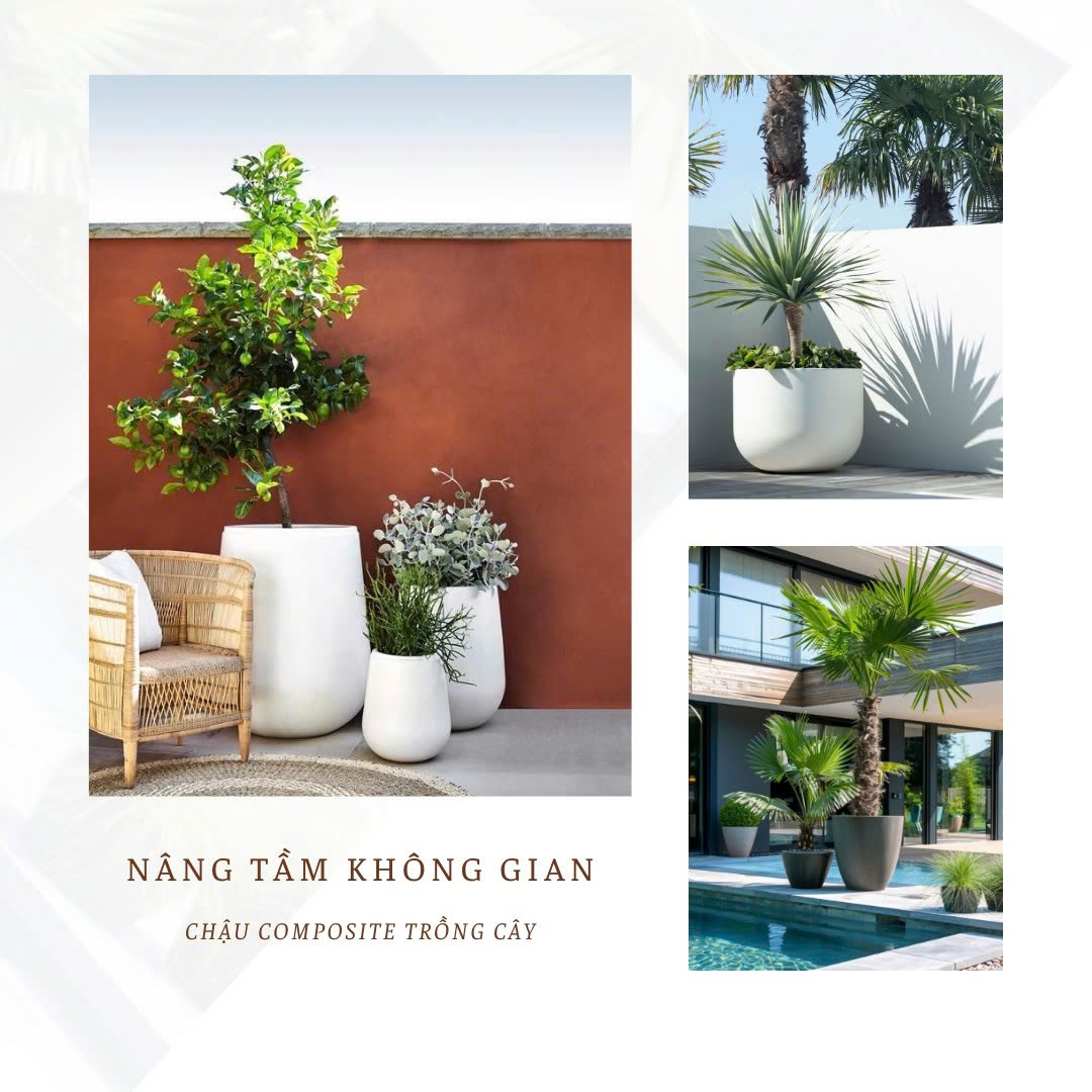 chau-composite-trong-cay